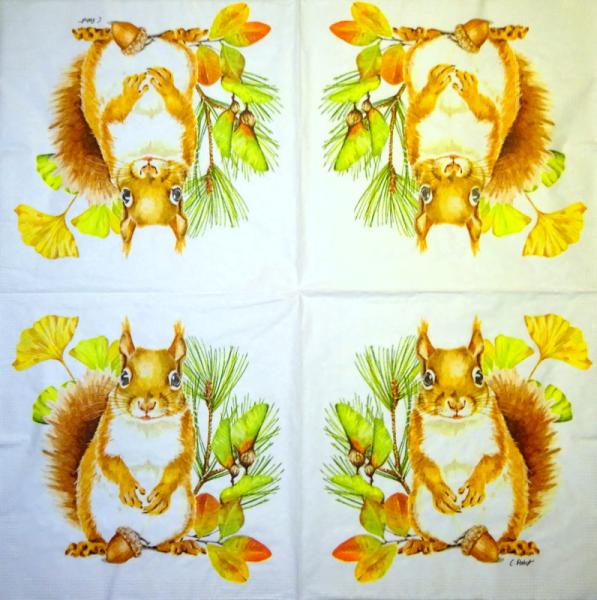 020 Eichhörnchen - 3-ply - Ambiente
